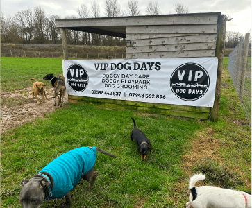 Vip best sale dog grooming