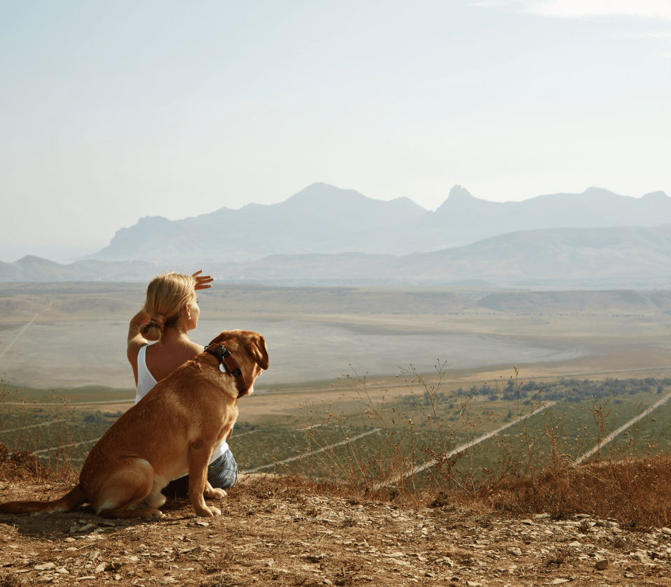 A dog sitting with it's owner looking at the horizon
